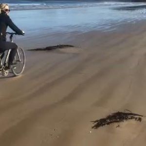 Meet your Posher, Michele